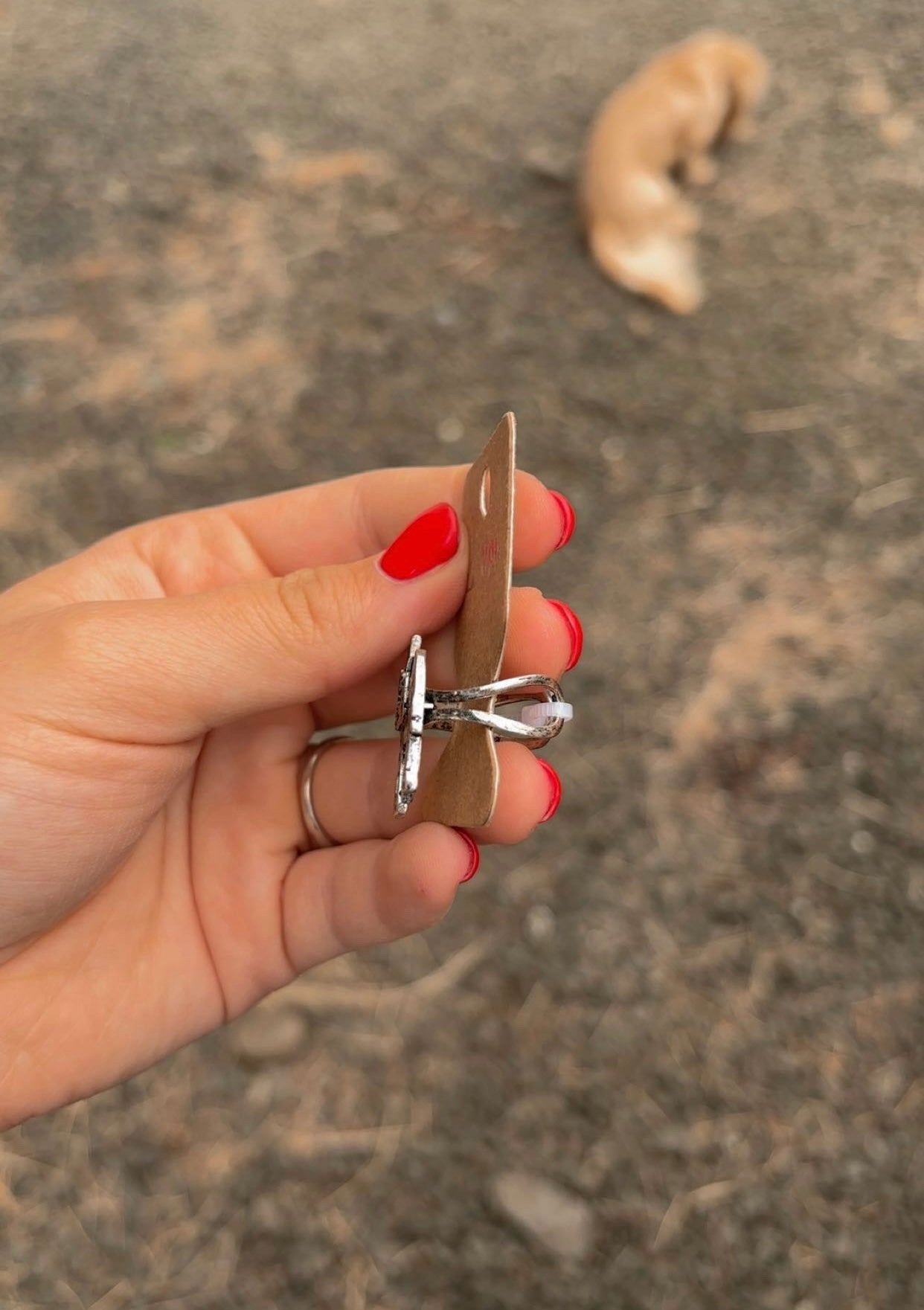 Donkey Adjustable Ring