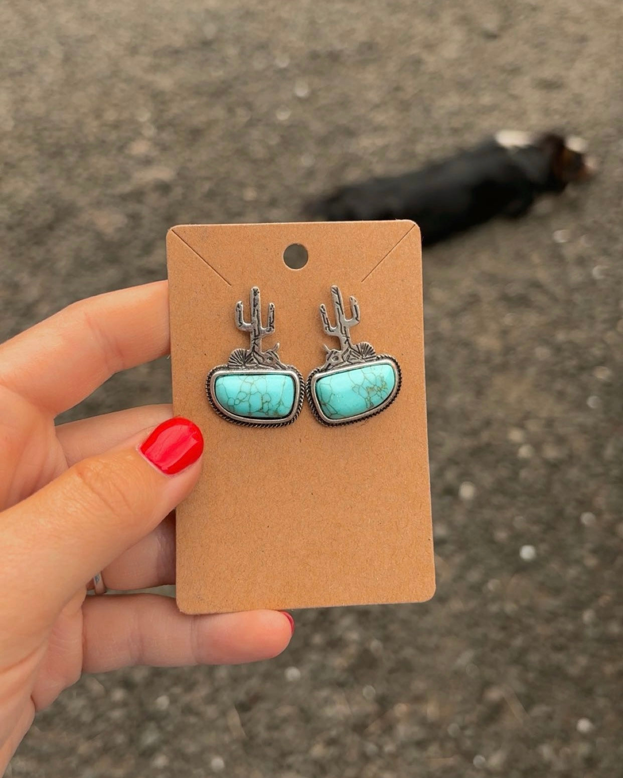 Western Cactus Studs